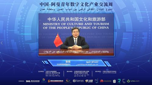 數(shù)字絲路，青春共創(chuàng) 中阿青年數(shù)字文化產(chǎn)業(yè)交流周盛大啟幕